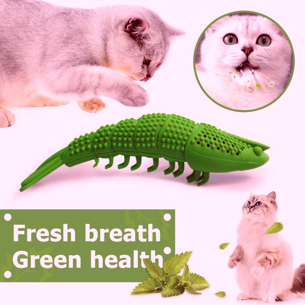 Teeth Brushing Self Cleaning